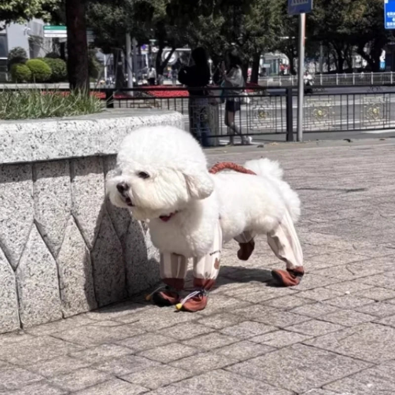 DryPaws - Wasserdichte Outdoor-Hose für Hunde