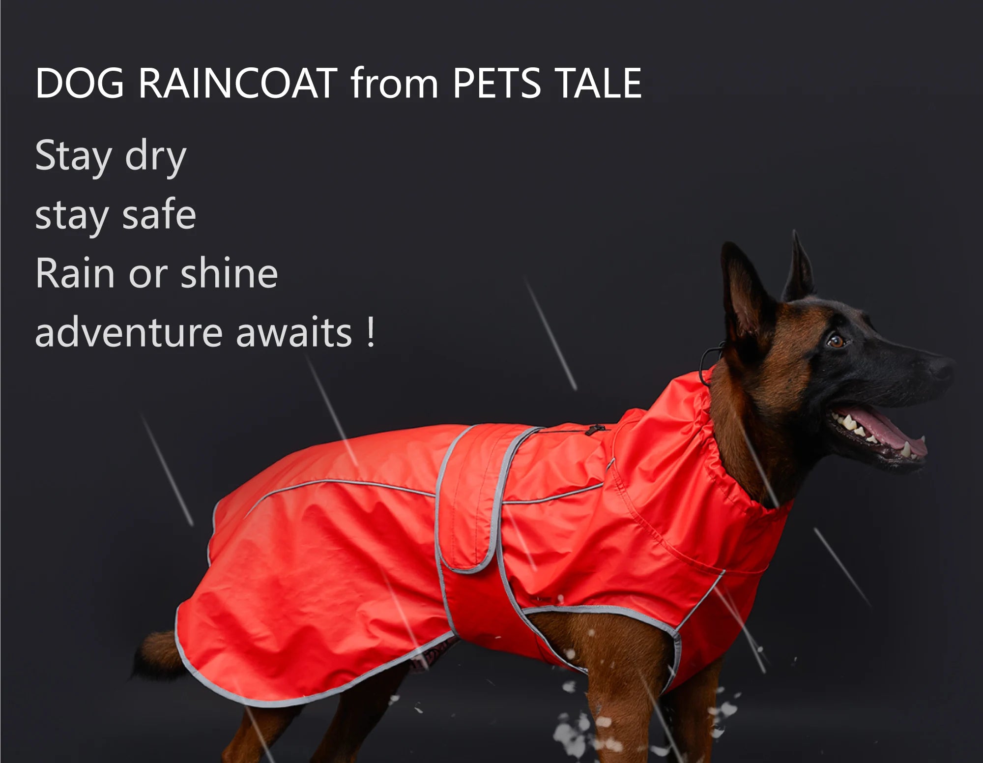 Hunde-Regenjacke „SafeWalk“