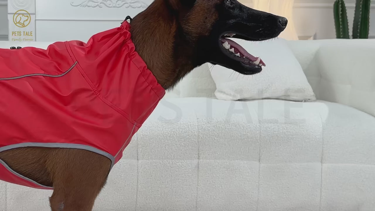 Hunde-Regenjacke „SafeWalk“